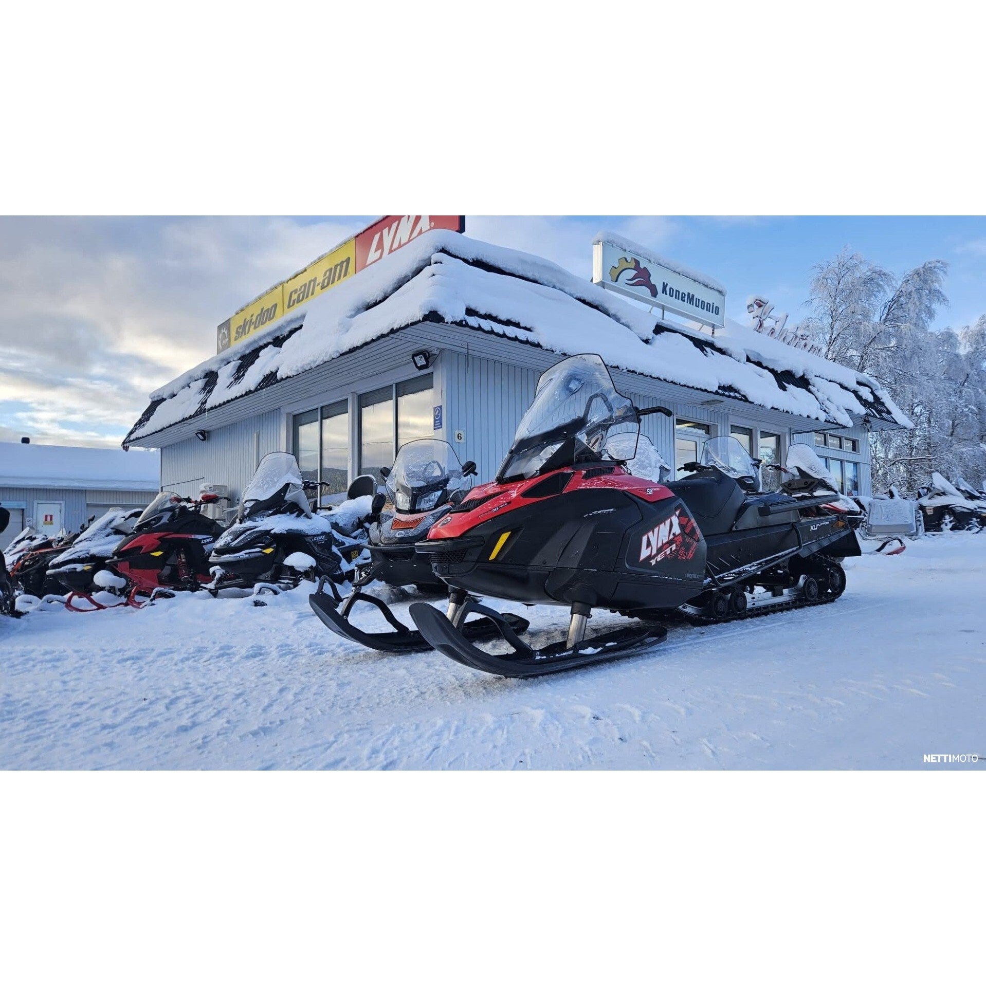 LYNX 59 YETI 600 ACE 2019