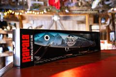 Rapala Floating 11 cm/9G FT