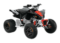 Can-Am YOUTH DS X 90 Black & Can-Am Red INT