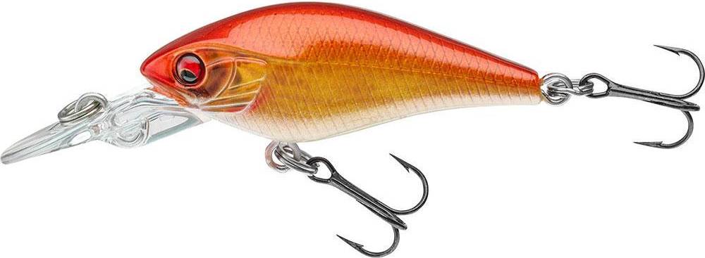 PX BABY CB40MR LIVE RAINTROUT
