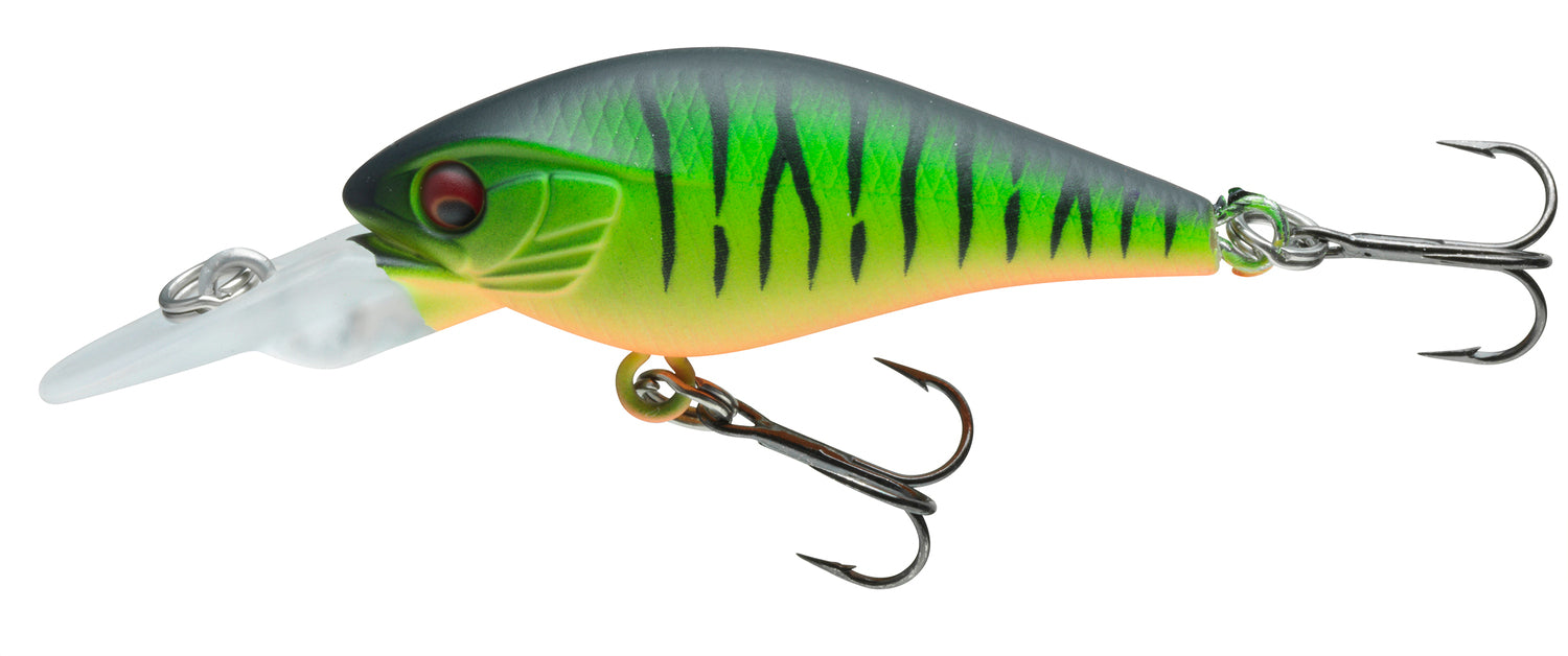 PX BABY CB40MR GOLD PERCH