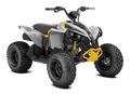 Can-Am Youth Renegade STD 110 EFI Catalyst Gray & Neo-Yellow INT