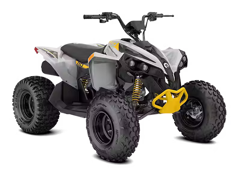 Renegade 110 EFI