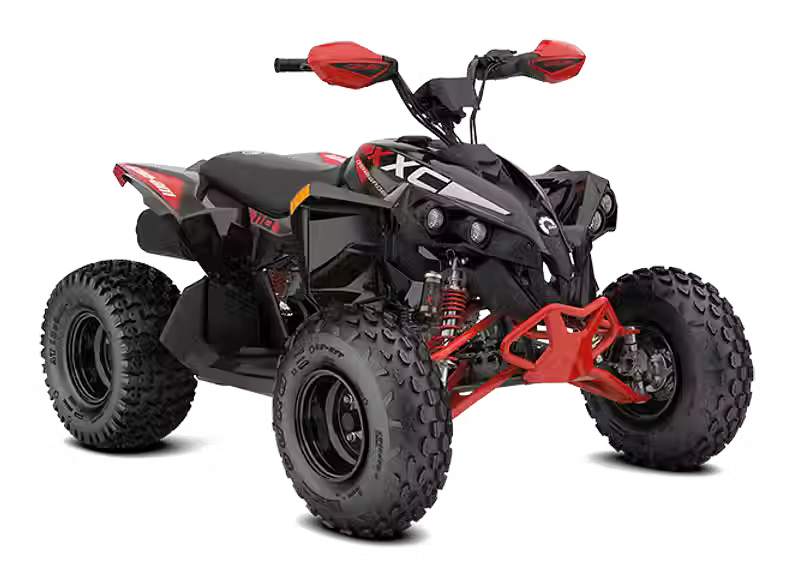 Renegade X xc 110 EFI