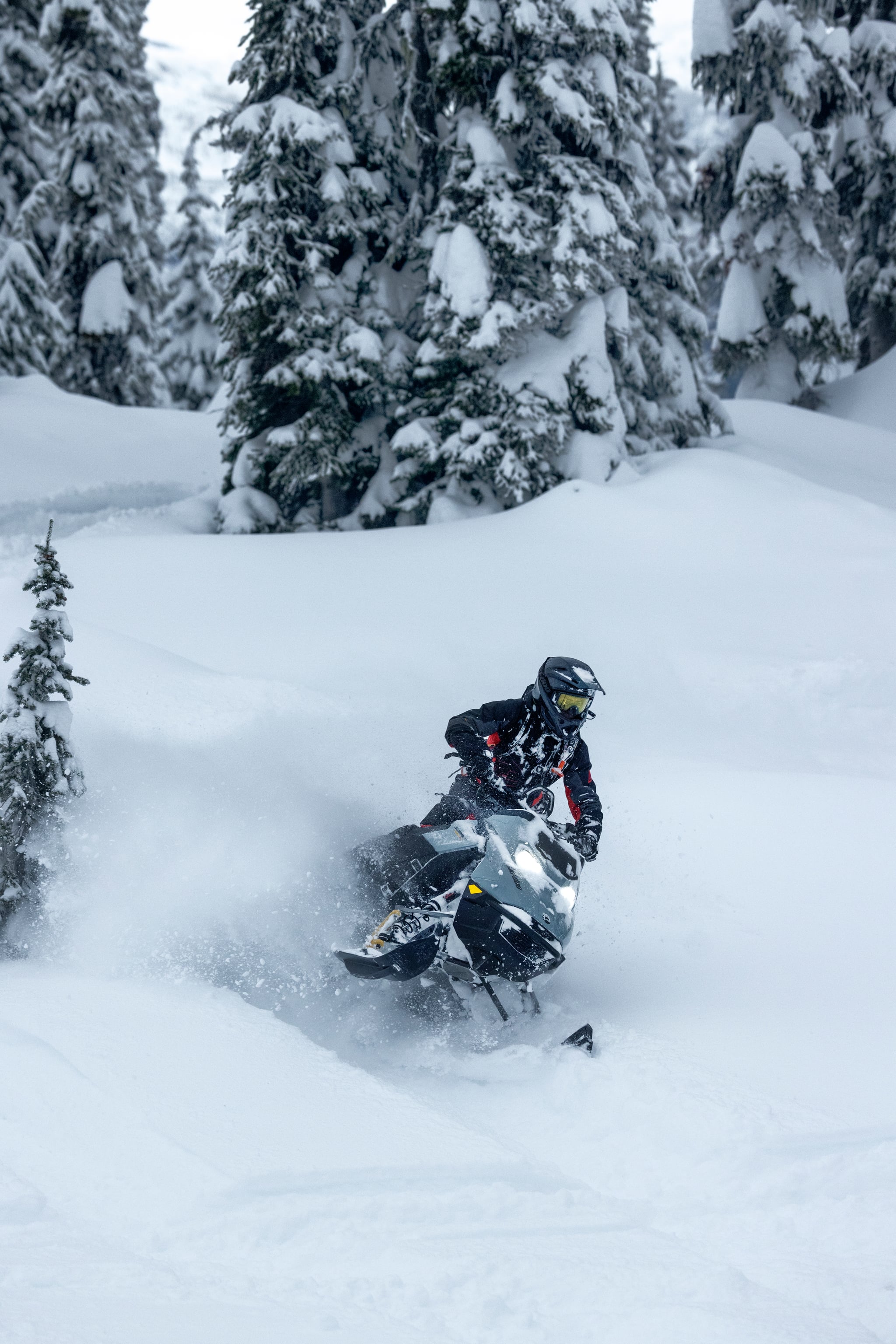 Ski-Doo Summit X with Expert Pkg 850 E-TEC 165 DSHOT 3.0in 76mm 10.25 in. Color — toimintakuva
