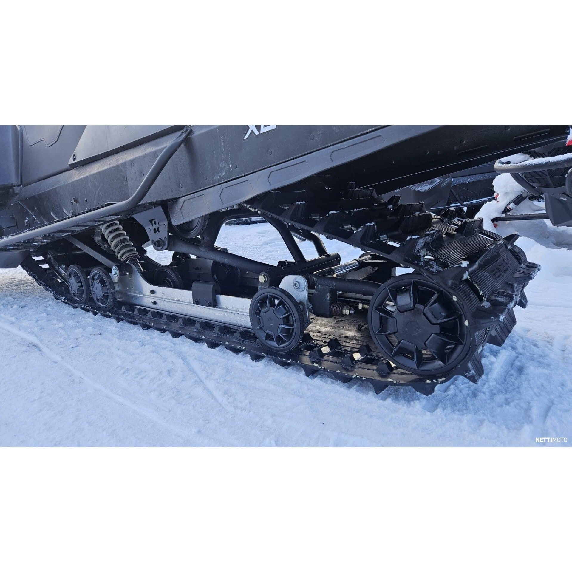 LYNX 59 YETI 600 ACE 2019