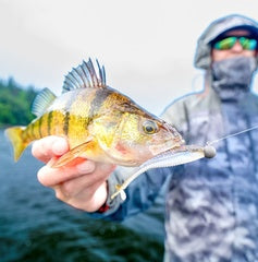 RAPALA MOOCH MINNOW 3,5 P