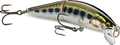 Elite 85 Gilded Mediterranean Trout