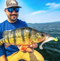 Mayor Perch