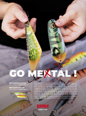 Rapala Nauvo 19g 6,6cm PKL