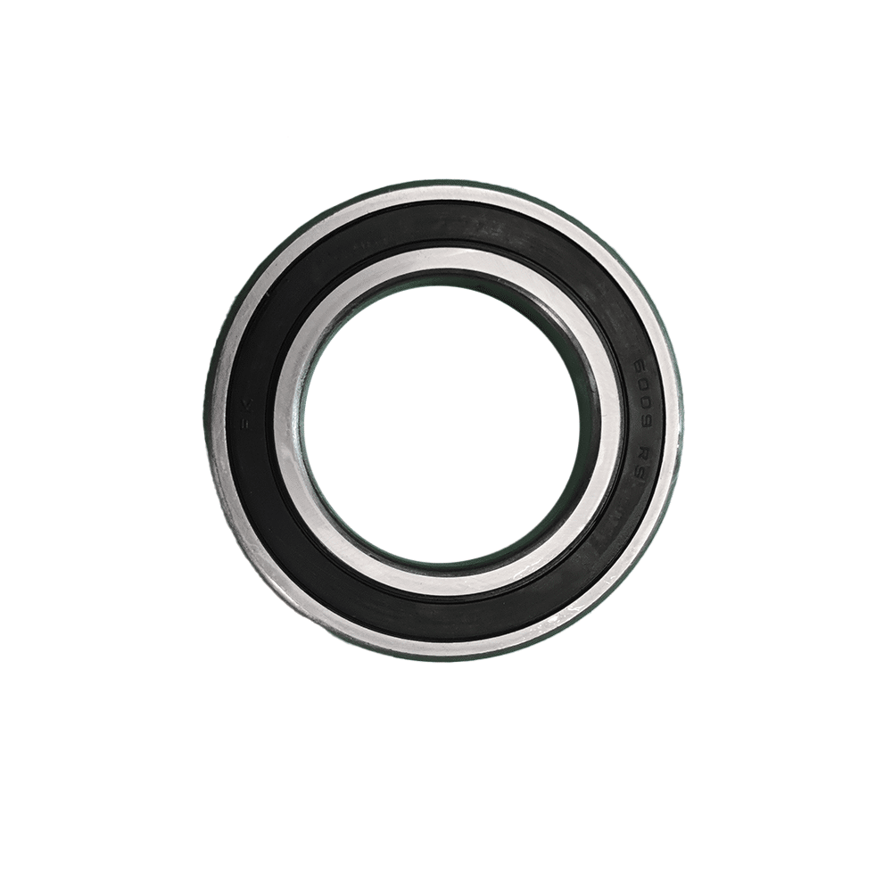 LAAKERI 6009-2RS1