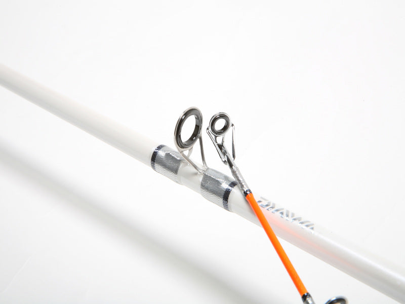 DAIWA ACCUDEPTH TROLLING